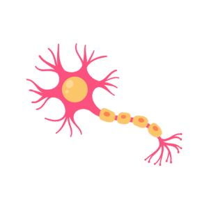 Nephrology / Renal Medicine