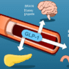 GLP-1 agonists, Semaglutide, Liraglutide, Ozempic, Wegovy, Saxenda, Victoza, diabetes treatment, weight loss medicine, GLP-1 receptor agonist, type 2 diabetes drugs, obesity treatment, insulin resistance medicine, pharmaceutical exports, Unnati Pharmax, global medicine supplier, diabetes medicine export, weight management drugs, trending medicine 2025, GLP-1 therapy, best medicine for diabetes, anti-obesity drugs, diabetes care pharma export