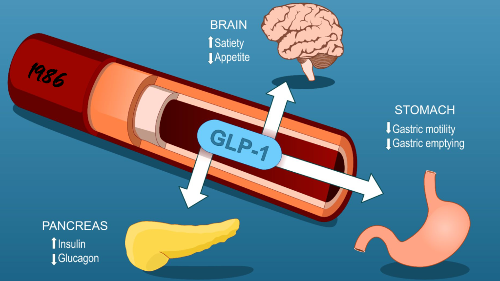 GLP-1 agonists, Semaglutide, Liraglutide, Ozempic, Wegovy, Saxenda, Victoza, diabetes treatment, weight loss medicine, GLP-1 receptor agonist, type 2 diabetes drugs, obesity treatment, insulin resistance medicine, pharmaceutical exports, Unnati Pharmax, global medicine supplier, diabetes medicine export, weight management drugs, trending medicine 2025, GLP-1 therapy, best medicine for diabetes, anti-obesity drugs, diabetes care pharma export